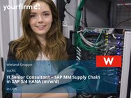 IT Senior Consultant – SAP MM Supply Chain in SAP S/4 HANA (m/w/d) - Ulm