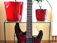 SCHECTER C6 Plus mit DiMarzio DP156 - Bochum