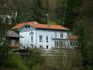 Exklusive Immobilie in Horb am Neckar - Ohne Maklerprovision - Perfekt für Familien oder als Rendite - Horb (Neckar)