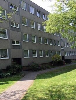 Zuhause fühlen: günstig geschnittene 3-Zimmer-Wohnung - Kassel