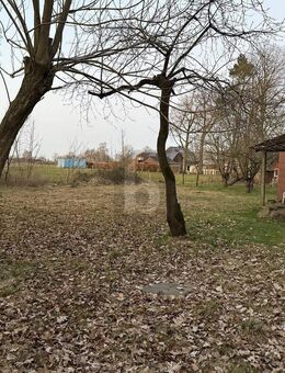 BAUGRUNDSTÜCK 3910M² MIT ALTEM RESTHOF - Oldendorf (Niedersachsen)