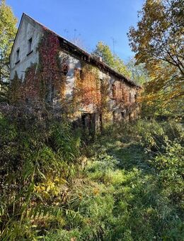 Haus in Alleinlage: Ihr Rückzugsort in unberührter Natur - Eisenberg (Thüringen)