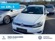 VW Golf, 1.5 TSI VII Highline, Jahr 2019 - Niefern-Öschelbronn