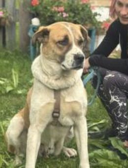 Verliebst du dich in die tolle Annie? - München