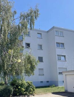 Sanierungsbedürftige 3-Zimmer Wohnung - Frankenthal (Pfalz)