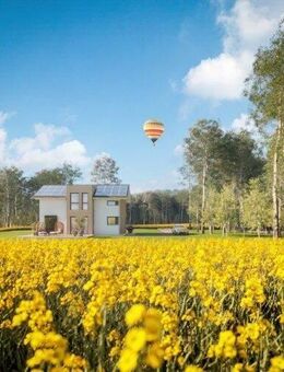 Einziehen & Wohlfühlen - Nordhausen