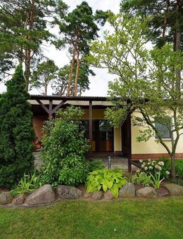 Parchau- Wocheendbungalow mit schönen Garten in ruhiger Lage - Burg (Sachsen-Anhalt)