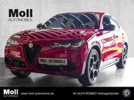 Alfa Romeo Stelvio, Competizione Q4, Jahr 2023 - Köln