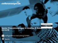 Senior Produktmanager in Analyse & Daten (m/w/d) - Berlin