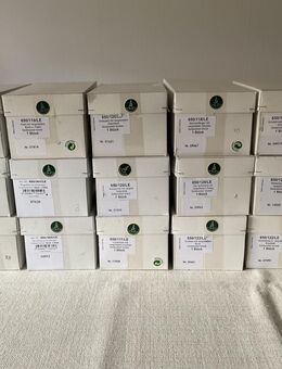 Wendt und Kühn 15x Goldedition * Nr. 4 bis 18 * limitierte Engel - Lohmar Zentrum