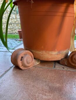 Keramikfüsse für Kübelpflanzen - Potsdam