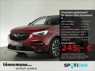 Opel Grandland X, ULTIMATE °, Jahr 2021 - Ahaus