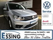 VW Caddy, 2.0 TDI Comfortline, Jahr 2019 - Lastrup