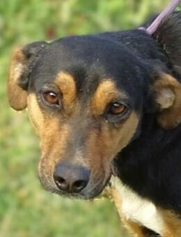 WENDY sucht ihr Glück - Gefrees