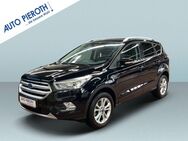 Ford Kuga, 1.5 EcoBoost 2x4 Titanium (DM2 2012), Jahr 2018 - Bad Kreuznach