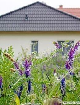 Stufenloses Wohnvergnügen! - Hermsdorf