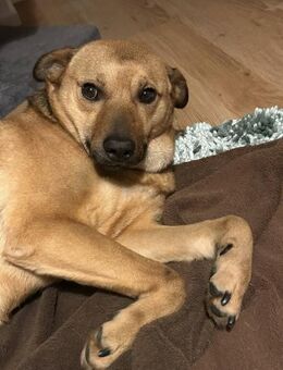 Zori eine leise Seele auf der Suche - Benediktbeuern