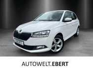 Skoda Fabia, 1.0 MPI Cool Plus 16, Jahr 2020 - Heidelberg