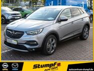 Opel Grandland X, 1.6 Plug-in-Hybrid Elegance, Jahr 2021 - Heppenheim (Bergstraße)