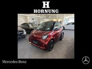 smart EQ fortwo cabrio, Passion Schnellad Premium, Jahr 2021 - Penzberg