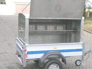 Spießgrill/Spießgrillanhänger/Grill/Anhänger/Spanferkel/Lamm/Ochse/Wildschwein/Gänse/Hähnchen/Grillwagen - Biedenkopf
