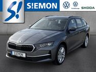 Skoda Octavia, 2.0 TDI Combi Selection, Jahr 2024 - Emsdetten