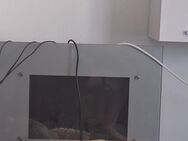 Kamin abzugeben top Zustand - Bochum