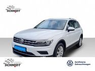 VW Tiguan, 2.0 TDI Highline, Jahr 2019 - Bernsdorf (Regierungsbezirk Chemnitz)