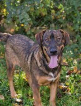 FREDDY - mit Elan unterwegs - Overath