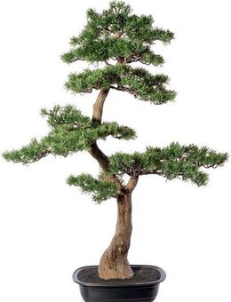 Kunstbonsai Bonsai Zeder Bonsai, Creativ green, Höhe 100 cm