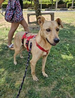 Lebensfroher Garcia - Eichenzell