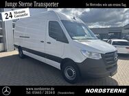 Mercedes Sprinter, 3ochdach Basic, Jahr 2022 - Neuenkirchen (Landkreis Osnabrück)