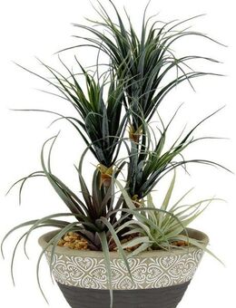 Kunstpflanze Dracena/Tillandsia Dracena Tillandsia, I.GE.A., Höhe 31 cm, Im Übertopf aus Keramik