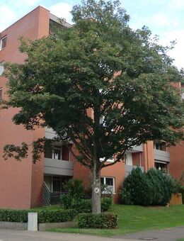 *Sichern Sie sich jetzt Ihre perfekte Altersvorsorge zu einem richtig guten Preis !!!* - Neumünster