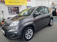 Fiat Panda 1.2 Lounge Klima,Einparkh.Alu+Allwetterrr. - Lippstadt