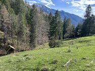 Wald und Grünland in attraktiver Höhenlage am Tegernsee - Rottach-Egern