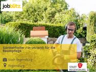 Gärtnerhelfer /-in (m/w/d) für die Baumpflege - Regensburg
