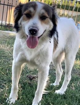 Ziggi, der Naturfreund - Weilmünster