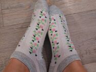 Getragene Socken... 😏 - Bremen
