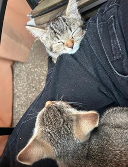 BKK Mix Mädchen auszugsbereit - Bonn