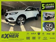 Opel Grandland X 1.6 Turbo Hybrid ELEGANCE Navi. LED - Hof