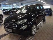 Ford EcoSport 1.0 EcoBoost Titanium - Papenburg