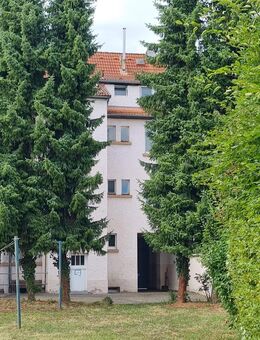 Das passt ins Bild - Aschaffenburg