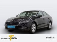 Skoda Octavia 2.0 TDI DSG FIRST EDITION LED STDHZG AHK - Bochum