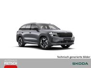 Skoda Kodiaq, 1.5 TSI iV 110kW, Jahr 2024 - Melle