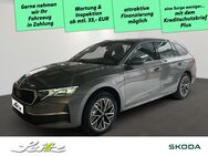 Skoda Octavia, 2.0 TDI Combi Tour APPCON, Jahr 2022 - Sonthofen