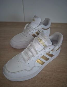 Adidas Damen Sportschuh in Gr. 37 . Ungetragen . NEU - Gelsenkirchen Scholven