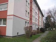 Grüne Lage ! 2025 Sanierte/Renovierte 3-Zimmer-Stadtwohnung - Frankfurt (Main)