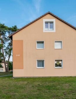 Perfekt für Singles - moderne 1-Zimmer-Wohnung in Celle! - Celle