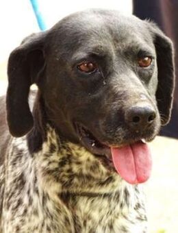 DEBBY wurde einfach entsorgt - Gefrees